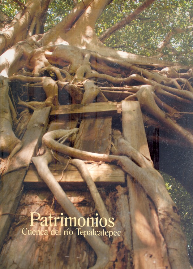 Patrimonios Cuenca del río Tepalcaltepec /