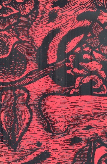 Books From México: Todo sirve para ser juzgado / Nando Vázquez