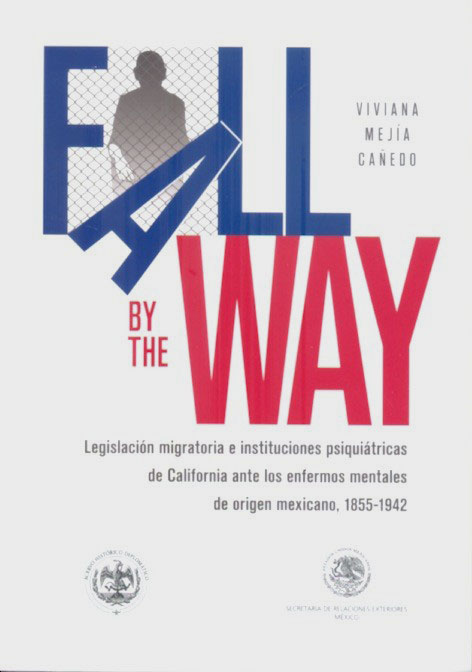 Fall by the way por Viviana Mejía Cañedo